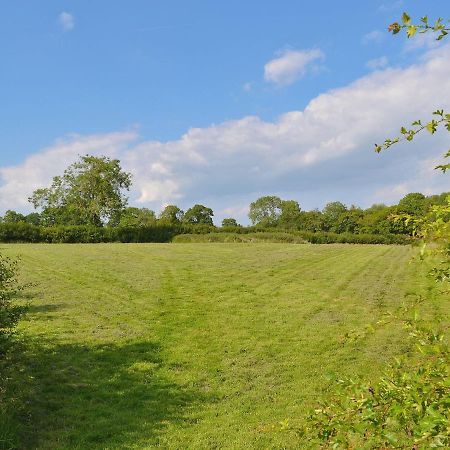 Tiger Villa Horsted Keynes Dış mekan fotoğraf
